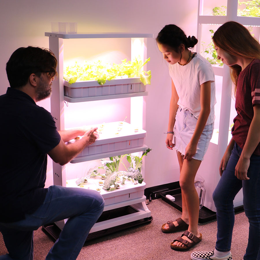 Plant Lab Educational Hydroponics System
