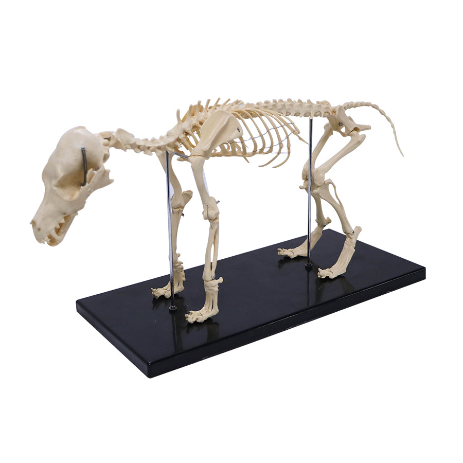 Veterinary Science Package
