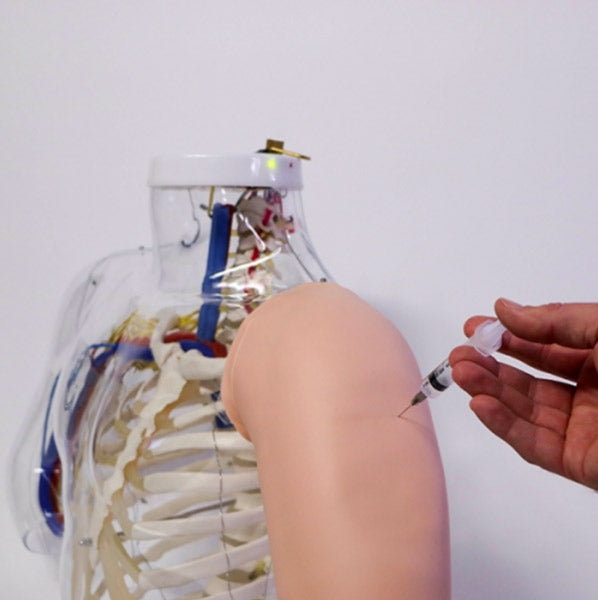 Upper Arm Intramuscular Injection Simulator