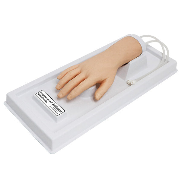 Venipuncture and IV Hand Trainer