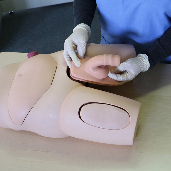 Vinyl Male Catheterization Simulator